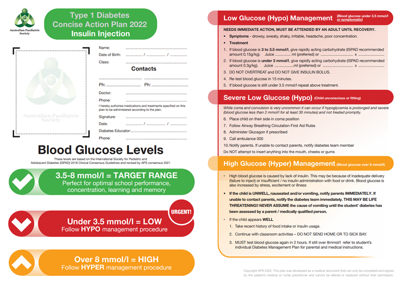 Type 1 Diabetes Insulin Injection Action Plan 2022