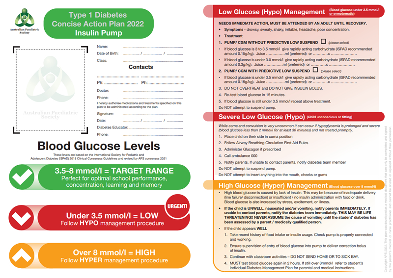 Type 1 Diabetes Insulin Pump Action Plan