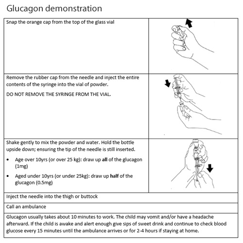 Glucagon demonstration
